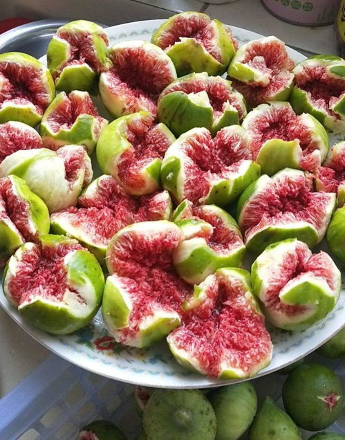 有无花果的花图片？想看各种美丽的花朵吗