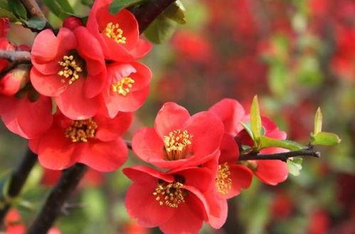 具体操作时段建议