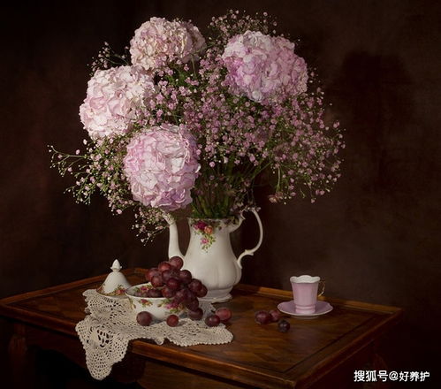 绣球花的花期与养护