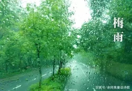 6月梅雨是苏北蓖麻的