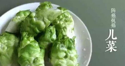 儿菜一般在秋季的9月至10月进行栽种