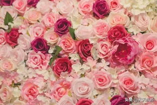 昆明鲜花买完怎么托运？拆分后如何安全保存