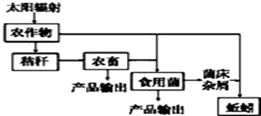 农业养殖中，新陈代谢指动植物体内物质和能量转换过程