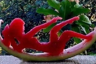 揭秘胡椒花：欺骗之花的真相与寓意