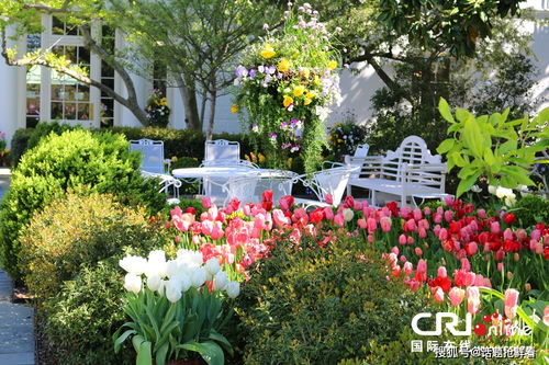 高原真的种不活花吗？