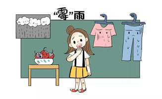 如何对付霉菌：保卫健康的小技巧
