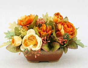 洋花种植， 老外喜欢