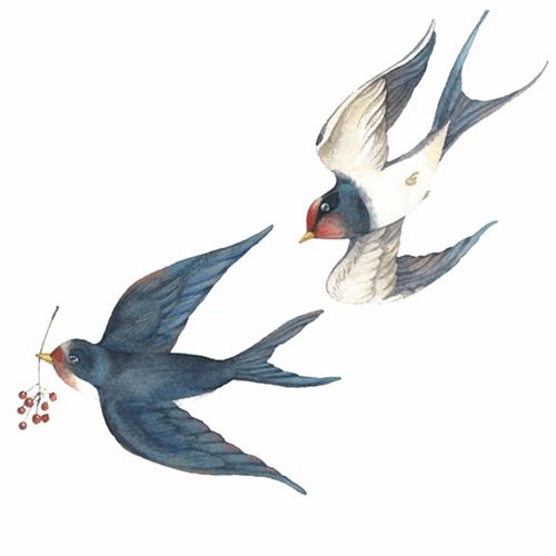 燕子掌，掌心似燕子展翅