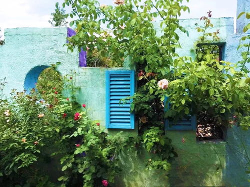 关键疑问：北方早霜/南方湿热气候适合种什么？