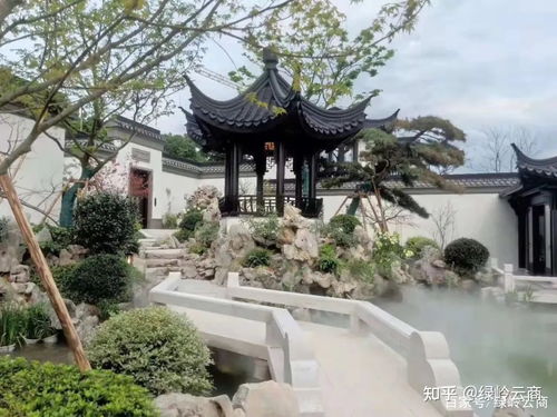 园林绿化施工中植物的成活率把握要点