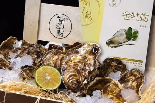山东威海乳山牡蛎大量上市，鲜美可口