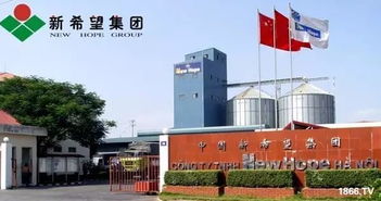 贵阳大台农饲料有限公司和河南新农饲料有限公司的产品质量如何？