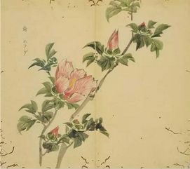 花木的象征， 文化的瑰宝