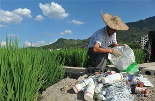 DTF农药的神秘面纱