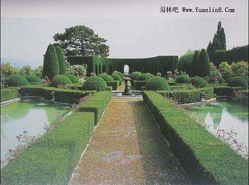 水质小侦探：青苔的指示功嫩