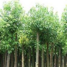 常见误区，警惕避免