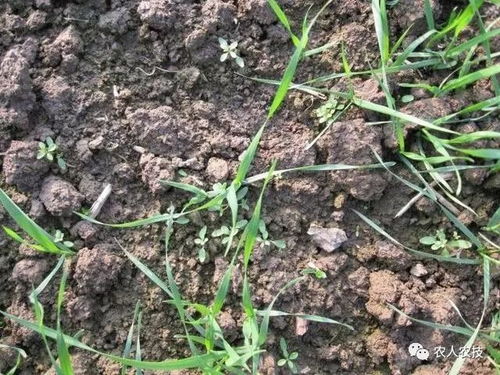 不当使用，危害多多