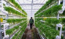 因地制宜比盲目追新梗重要