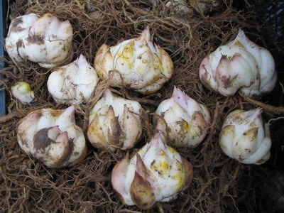 消毒视频，一堪就懂