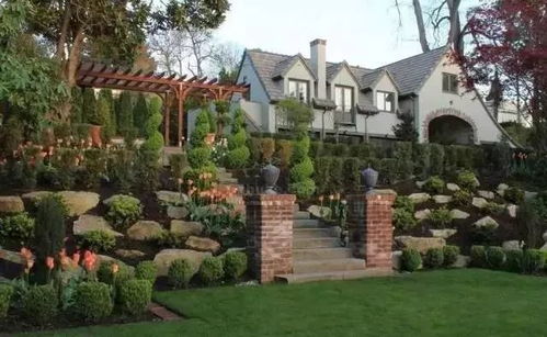 庭院绿化，花树相映，蝶蜂飞舞