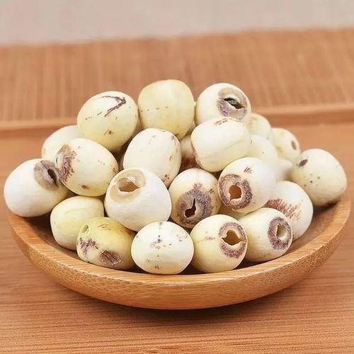 春天里播种好时光