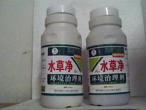 蚕豆地里草儿多，除草剂来帮忙