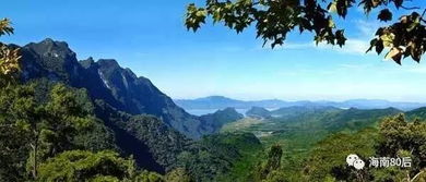 植物的大世界：它们如何适应不同的生态系统？