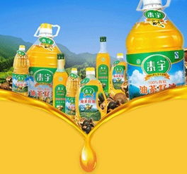 广东金麟茶油：永兴泰宇品牌一公斤价格揭晓
