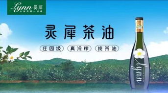 湖南润农生态茶油，广东优质收购点揭秘！