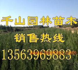 春天是个好时光