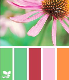 搭配小技巧，你get了吗？