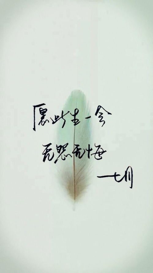 此生不渝，情意深似海