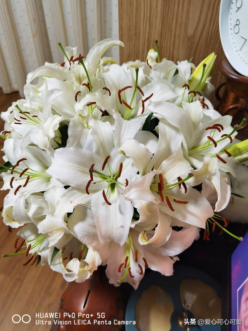 第一买花网一束百合花市面价多少？