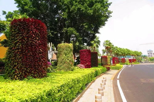 色彩斑斓，犹如地毡