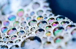 蚕宝宝们的危机：甲维盐残留，蚕命堪忧！