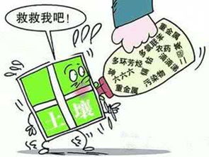 四、防范胜于治疗