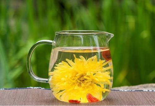 菊花茶哪种效果最好？行内人推荐这几种给你