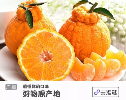 揭秘耙耙柑与丑橘：如何区分两者？看这里！
