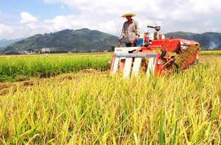 八、农业没有觉对禁区，只有破解之法