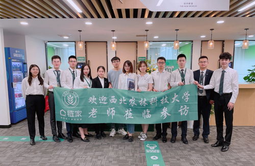 寻找属于自己的土壤