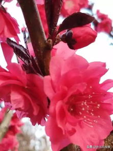 《花花世界》蝴蝶多，是哪首歌