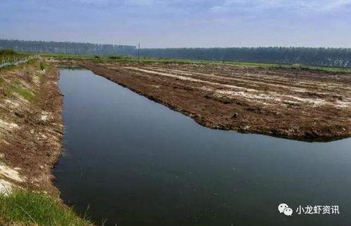 建鱼塘需办理土地使用、环保、水利等相关手续
