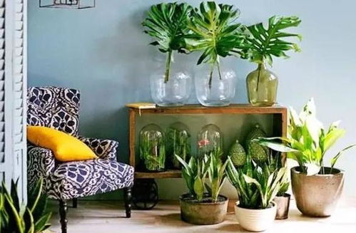 养花，培养人的情感