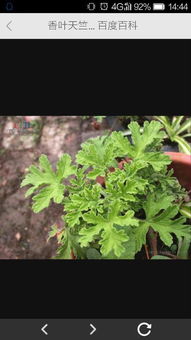 常见误区，要破解