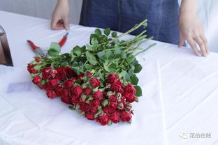 多头玫瑰的修剪和施肥：花匠们的小秘密