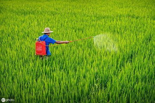 持效期有长有短