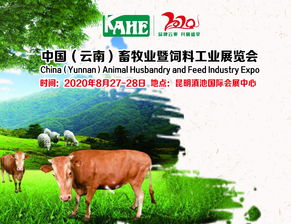 如何根据生物饲料发展建议，实现畜牧业环境保护与可持续发展的双重目标？