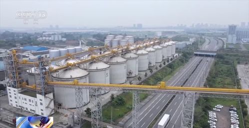 江西丰城吉安茶油枯价格行情，专业收购服务！