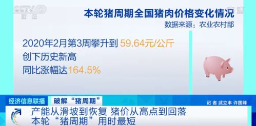 今天浚县猪价跌破成本线，养殖户每头倒贴200元，有什么避坑指南可以分享？