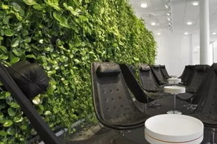 中原花园的生机